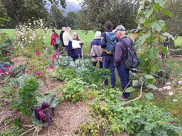 Hügelbeet im Permakulturgarten